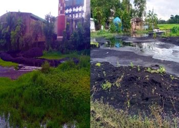 মিলের ধোঁয়া ছাইয়ের বর্জ্যে ফসলি জমি ও খালের ড্রেনেজ ব্যবস্থা অচল