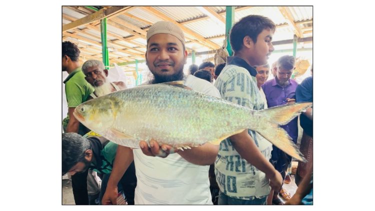 বঙ্গোপসাগরের এক ইলিশ ১৪ হাজার টাকায় বিক্রি