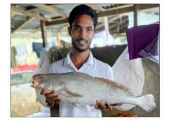 বঙ্গোপসাগরের এক ‘পোয়া মাছ’ ৮০ হাজারে বিক্রি