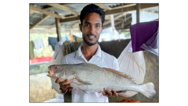 বঙ্গোপসাগরের এক ‘পোয়া মাছ’ ৮০ হাজারে বিক্রি