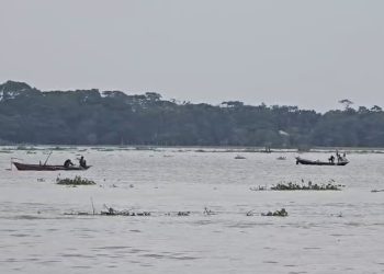 পায়রা-পান্ডব-লোহালিয়ায় মা ইলিশ শিকারের মহোৎসব!