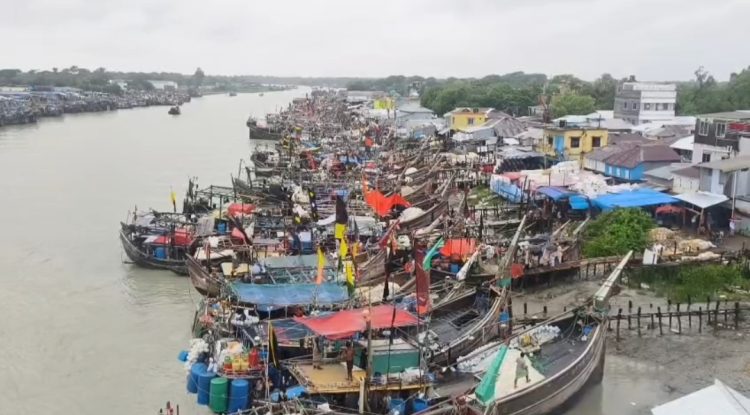 আজ মধ্যরাত থেকে ইলিশসহ সব ধরণের মাছ ধরায় নিষেধাজ্ঞা