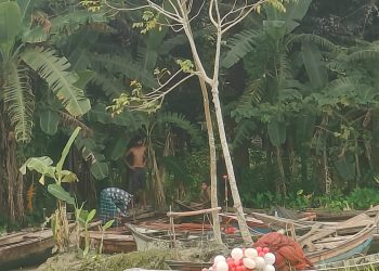 দুমকিতে মৎস্য কর্মকর্তাদের ওপর আক্রমণ, রক্ষা পেল অল্পের জন্য