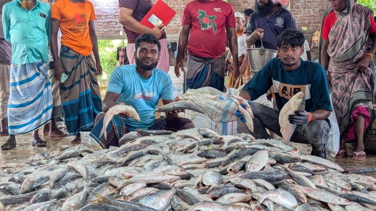 প্রথমদিনেই ইলিশমুখর পরিবেশ কলাপাড়ার মহিপুর-আলীপুর মৎস্য বন্দর