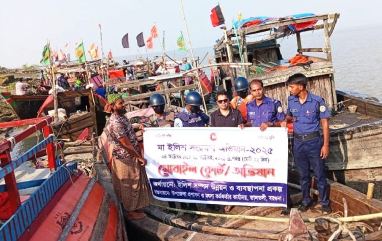 তালতলীতে নিষেধাজ্ঞা অমান্য করে ইলিশ শিকার, ৪১ ট্রলার আটক