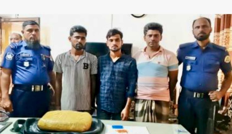 তালতলীতে দুই কেজি গাঁজা ও ইয়াবাসহ তিন মাদক কারবারী গ্রেফতার