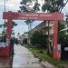 কলাপাড়ায় ডেঙ্গুতে দুই নারীর মৃত্যু, আক্রান্ত অর্ধশতাধিক