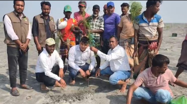 কুয়াকাটার চরবিজয়ে ৪০ হাজার ঝাউ গাছ রোপণ কর্মসূচির উদ্বোধন