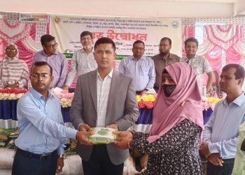 কলাপাড়ায় ৯ হাজার কৃষককে বিনামূল্যে বীজ ও সার প্রদান