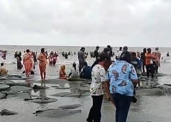 সাগর উত্তাল থাকলেও পর্যটকমুখর কুয়াকাটা