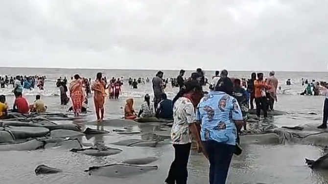 সাগর উত্তাল থাকলেও পর্যটকমুখর কুয়াকাটা