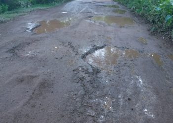পটুয়াখালীর লোহালিয়া-মিলঘর-বগা সড়কটির বেহাল দশা