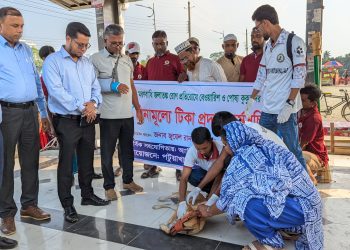 জলাতঙ্ক মুক্ত শহরের উদ্যোগ; পটুয়াখালীতে শুরু হয়েছে বেওয়ারিশ কুকুর-বিড়ালের টিকা