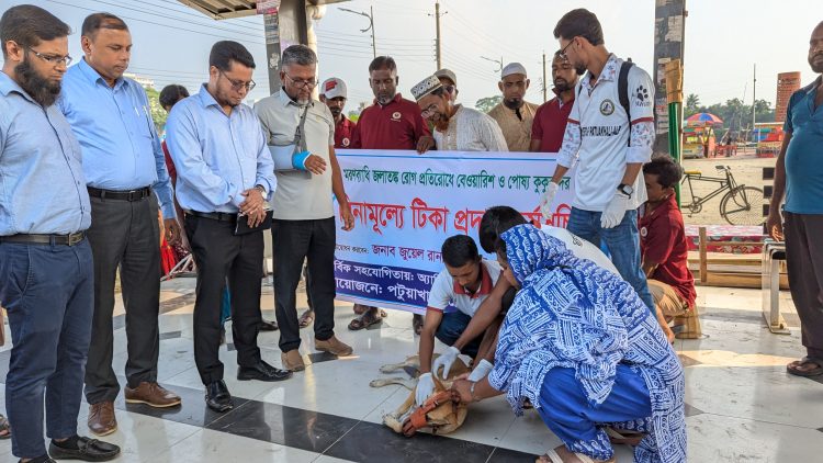 জলাতঙ্ক মুক্ত শহরের উদ্যোগ; পটুয়াখালীতে শুরু হয়েছে বেওয়ারিশ কুকুর-বিড়ালের টিকা