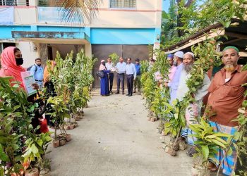 দশমিনায় কৃষকদের মাঝে বিভিন্ন প্রজাতির গাছের চারা বিতরণ