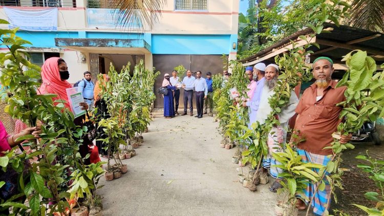 দশমিনায় কৃষকদের মাঝে বিভিন্ন প্রজাতির গাছের চারা বিতরণ