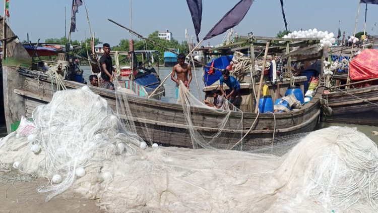 কলাপাড়ায় লোকসানের বোঝা নিয়ে ইলিশের আশায় ফের ছুটছেন সাগর-নদীতে