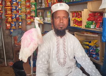 হেমায়েতের কাছেই যেন বকটি খুঁজে পেয়েছে আপন ঠিকানা