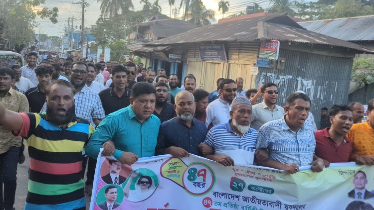 দশমিনায় যুবদলের প্রতিষ্ঠাবার্ষিকীতে হাসান মামুনের হয়ে কাজ করার আহ্বান