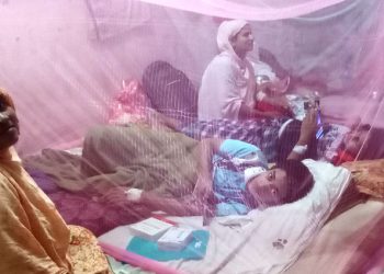 কলাপাড়ায় ডেঙ্গুতে আরো দুইজনের মৃত্যু, হাসপাতে ভর্তি ২৯