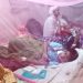 কলাপাড়ায় ডেঙ্গুতে আরো দুইজনের মৃত্যু, হাসপাতে ভর্তি ২৯