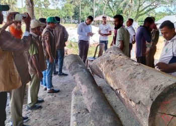 কুয়াকাটায় ৪ করাতকল মালিককে ২৫ হাজার টাকা জরিমানা