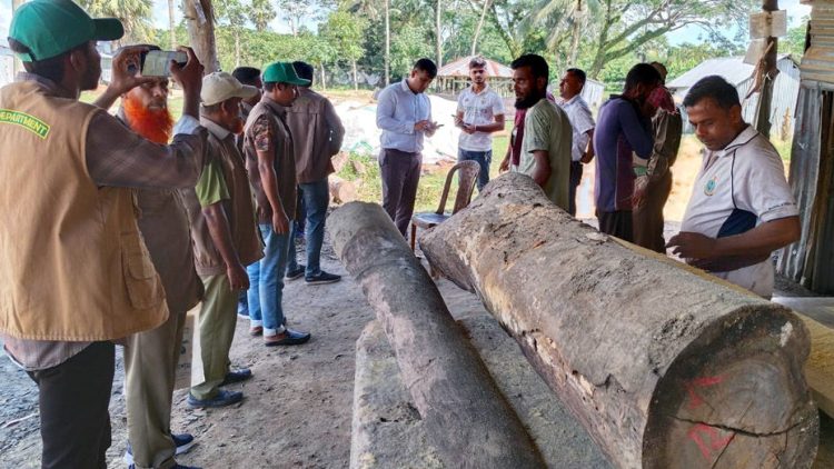 কুয়াকাটায় ৪ করাতকল মালিককে ২৫ হাজার টাকা জরিমানা