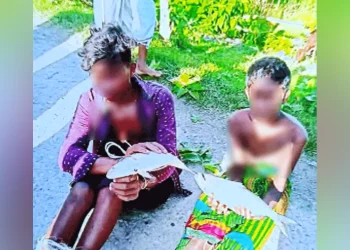 গলাচিপায় মাছ চুরির অভিযোগ তুলে দুই কিশোরকে নির্যাতন, মাছ ব্যবসায়ী আটক