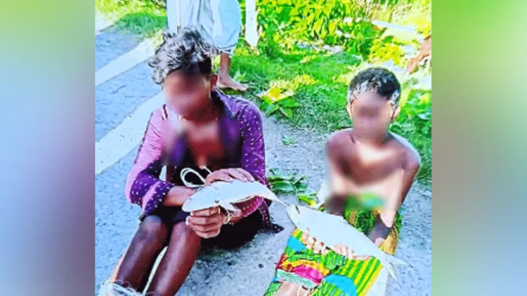 গলাচিপায় মাছ চুরির অভিযোগ তুলে দুই কিশোরকে নির্যাতন, মাছ ব্যবসায়ী আটক