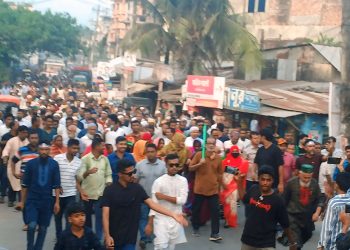 মির্জাগঞ্জে জাতীয় বিপ্লব ও সংহতি দিবসে নেতাকর্মীদের ঢল