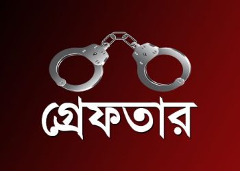 দশমিনায় ককটেল বিস্ফোরণ ও লুটপাটের মামলায় আ.লীগ ও সহযোগি সংগঠনের ছয়জন গ্রেফতার