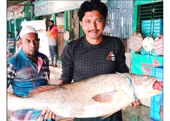 কলাপাড়ায় ধরা পড়লো ৩৭ কেজির কালো পোয়া, বিক্রি এক লাখ ১১ হাজার টাকায়