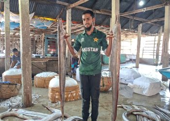 পাথরঘাটায় জেলের জালে বিলুপ্ত প্রজাতির বাইন মাছ