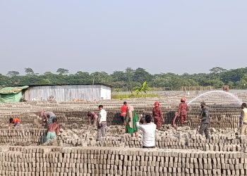 দুমকিতে অবৈধ ইটভাটা গুড়িয়ে দিল জেলা প্রশাসন