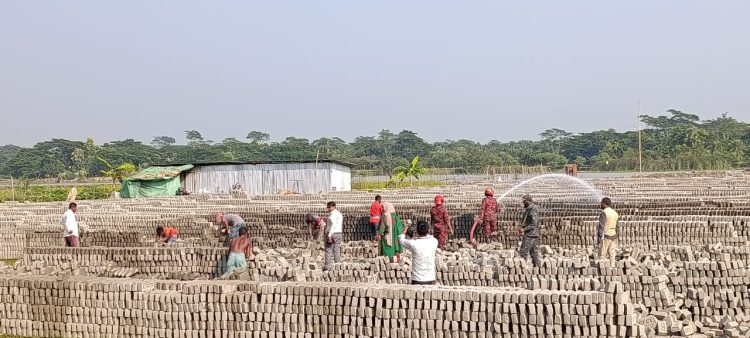 দুমকিতে অবৈধ ইটভাটা গুড়িয়ে দিল জেলা প্রশাসন