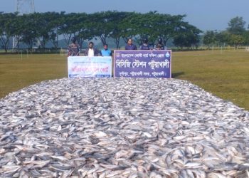 পটুয়াখালীতে ৪ হাজার ৫০ কেজি জাটকা জব্দ করেছে কোস্টগার্ড