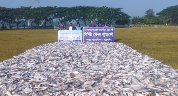 পটুয়াখালীতে ৪ হাজার ৫০ কেজি জাটকা জব্দ করেছে কোস্টগার্ড