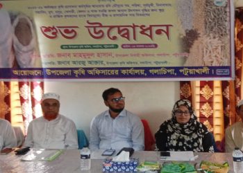 গলাচিপায় কৃষকদের মাঝে রবি মৌসুমের বীজ ও উপকরণ বিতরণের উদ্বোধন