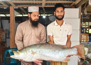 ‎বঙ্গোপসাগরের এক কোরাল ২৬ হাজারে বিক্রি