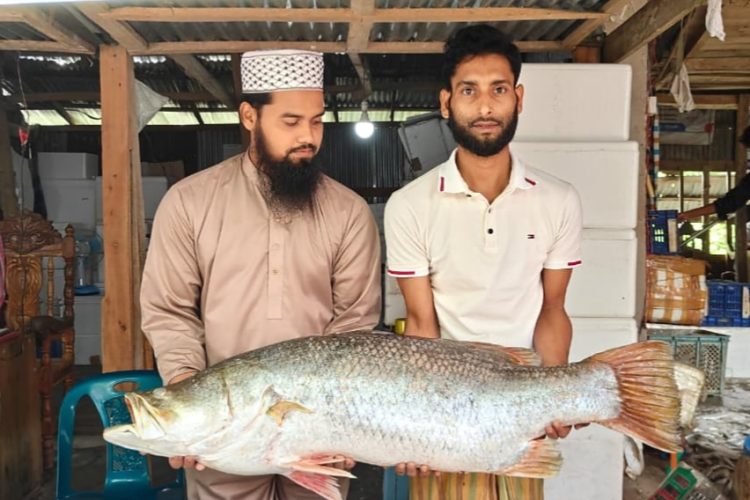 বঙ্গোপসাগরের এক কোরাল ২৬ হাজারে বিক্রি