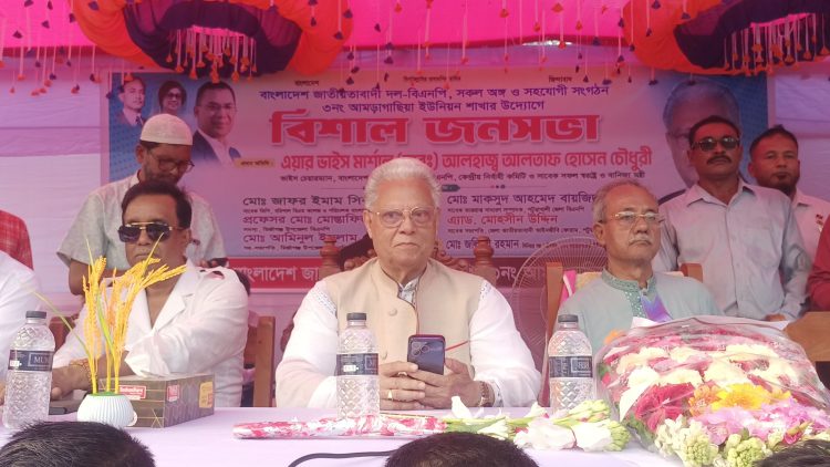 মির্জাগঞ্জে বিএনপির জনসভায় জনতার ঢল