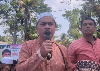 ত্যাগ ও রক্তের মধ্যদিয়ে হলেও দশমিনা-গলাচিপা আসনে বিএনপির এমপি থাকবে: হাসান মামুন