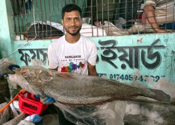 কলাপাড়ায় সাগরে ধরা পড়ল সাড়ে ২১ কেজি ওজনের কালো পোয়া, লাখ টাকায়ও বিক্রি হয়নি
