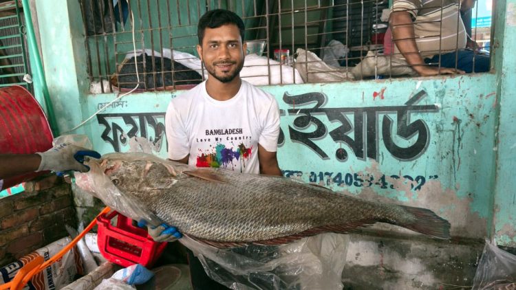 কলাপাড়ায় সাগরে ধরা পড়ল সাড়ে ২১ কেজি ওজনের কালো পোয়া, লাখ টাকায়ও বিক্রি হয়নি