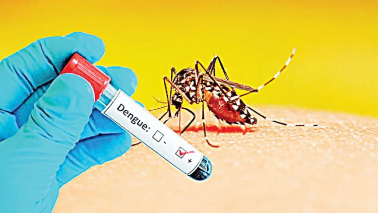 কুয়াকাটায় ডেঙ্গুতে এক মাসে আটজনের মৃত্যু, শতাধিক আক্রান্ত