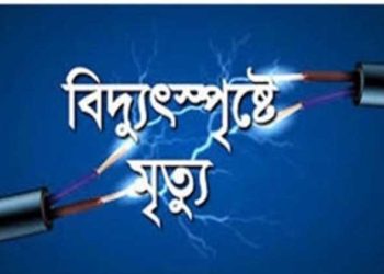 কলাপাড়ায় গাছের ডাল কাটতে গিয়ে বিদুৎস্পৃষ্টে মোটরসাইকেল চালকের মৃত্যু