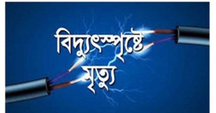 কলাপাড়ায় গাছের ডাল কাটতে গিয়ে বিদুৎস্পৃষ্টে মোটরসাইকেল চালকের মৃত্যু
