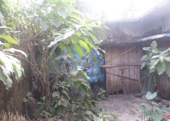 দশমিনায় বীজাগারগুলোর ভবনের বেহাল দশা, চলে যাচ্ছে অবৈধ দখলে
