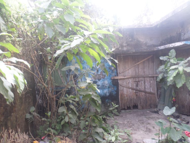 দশমিনায় বীজাগারগুলোর ভবনের বেহাল দশা, চলে যাচ্ছে অবৈধ দখলে