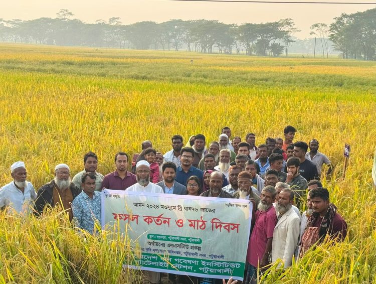উপকূলীয় কৃষিতে নতুন সম্ভাবনার বাতিঘর ‘ব্রি স্যাটেলাইট স্টেশন’